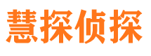 嘉鱼外遇调查取证